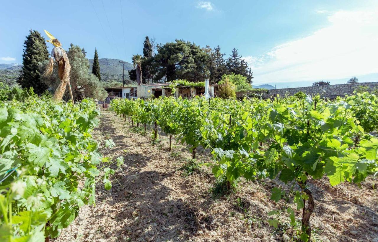 Agios Ioannis Nassibe Estate别墅 外观 照片